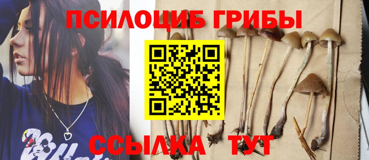 Псилоцибиновые грибы Psilocybine cubensis  Псилоцибиновые грибы Magic Shrooms  Вход с VPN  Малгобек 